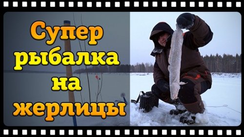 Налим на жерлицы зимой или зимняя рыбалка перед новым годом.