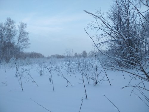 Январь1