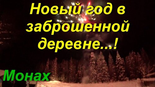 Встреча Нового года в Деревне