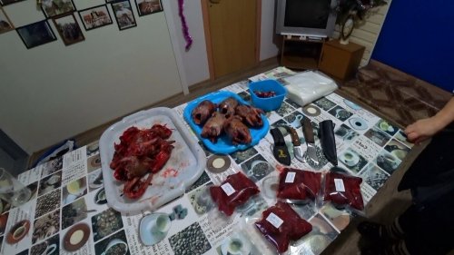 СКОРО на канале Разделка и сохранение дичи