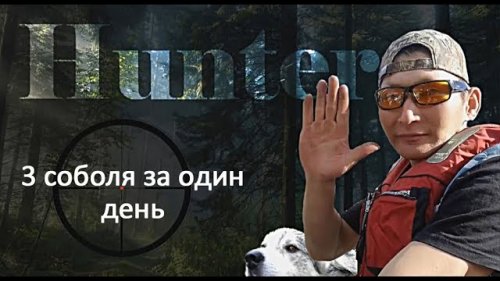 3 соболя