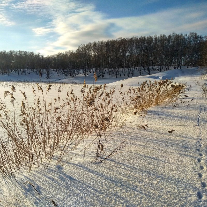 Январь