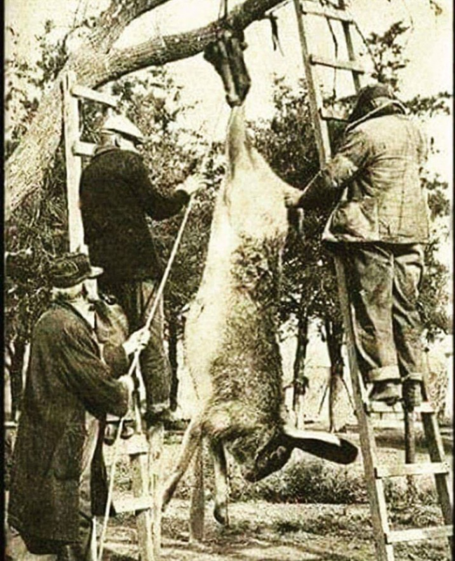 Неужели???