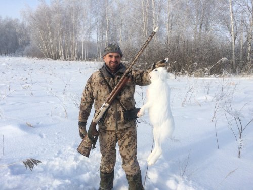 Охота на зайцев 2019.