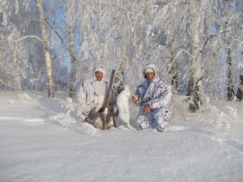 заяц-беляк