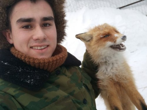 Мой первый лис!
