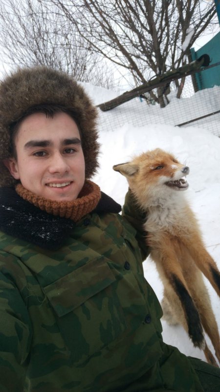 Мой первый лис!