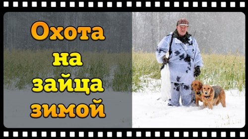 Охота на зайца зимой с русскими гончими или из крайности в крайность.