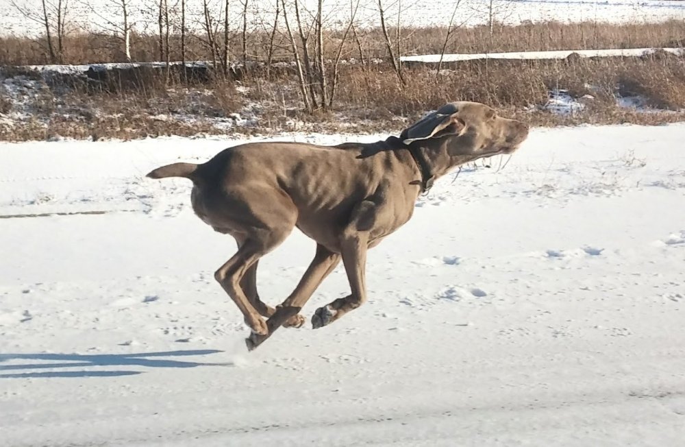 Разминаемся.