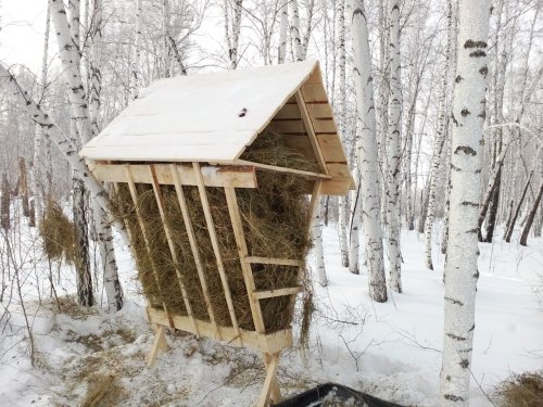 Выходные прошли не зря