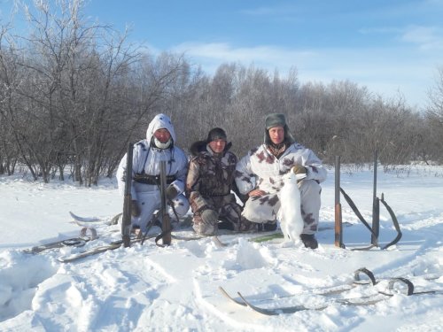 Мороз и солнце.