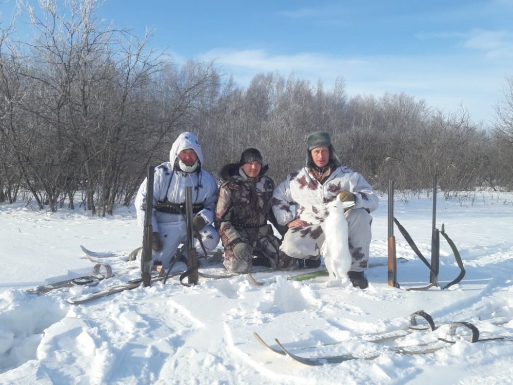 Мороз и солнце.