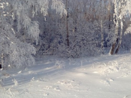 Зимнее безмолвие