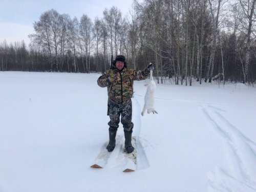 Ну, и я отметился по зайцу