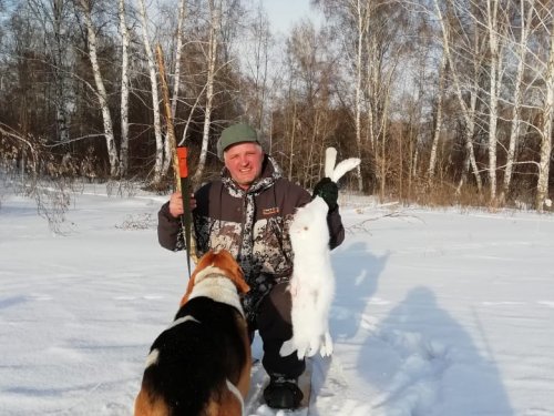 Сегодня белячек
