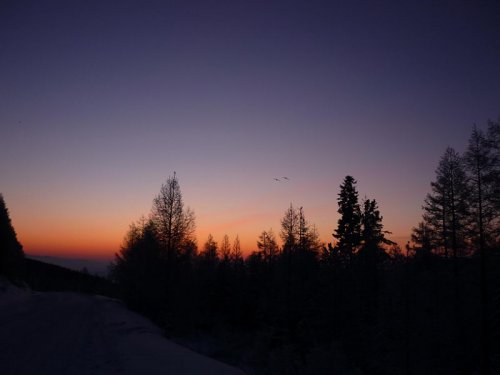 Тетери взлетели.