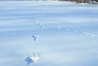 Поживи...,до новых встреч.