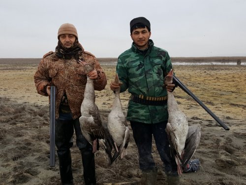 СЕРЫЕ ГУСИ ЯНВАРЬ 2019