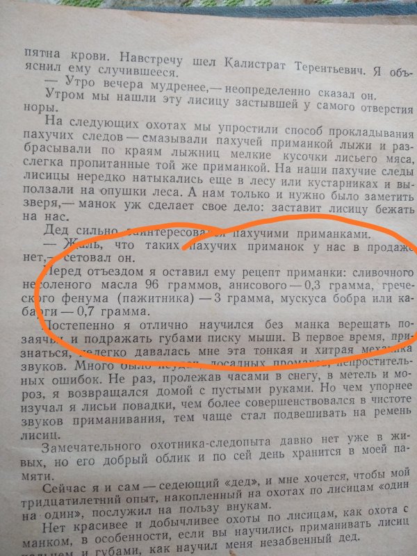 Из альманаха "Охотничьи просторы"