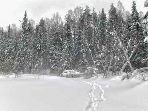 февраль