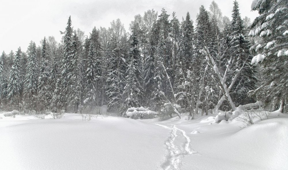 февраль