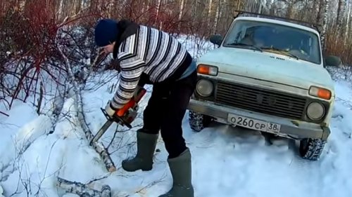 Осторожно "валежник в законе". Пилить или не пилить?