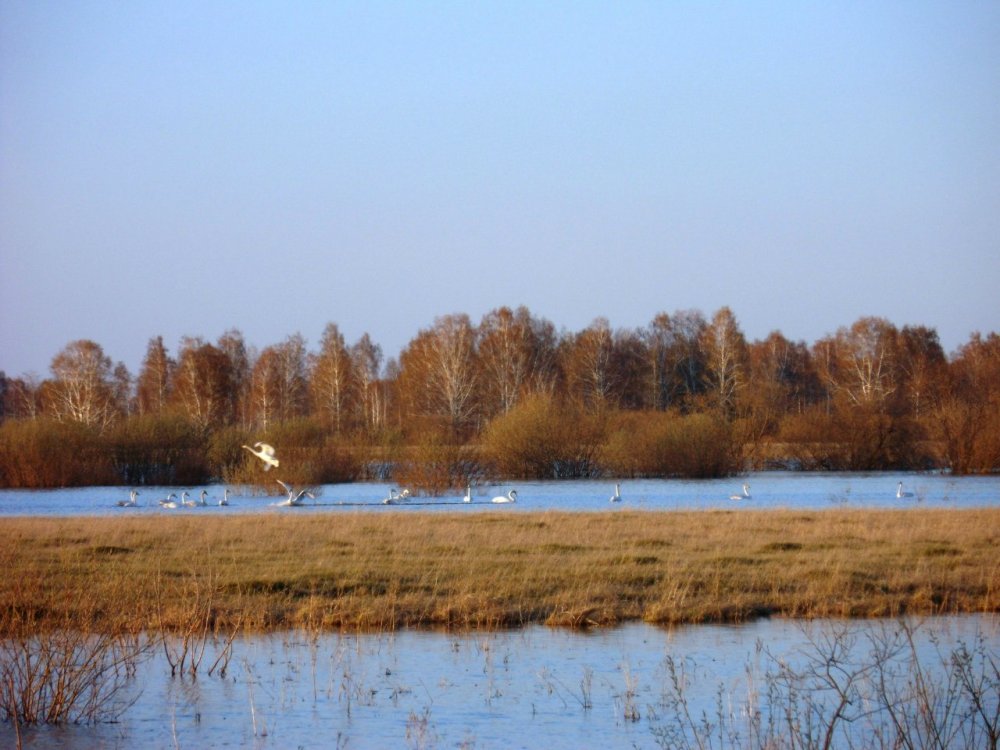 Весеннего настроения всем....