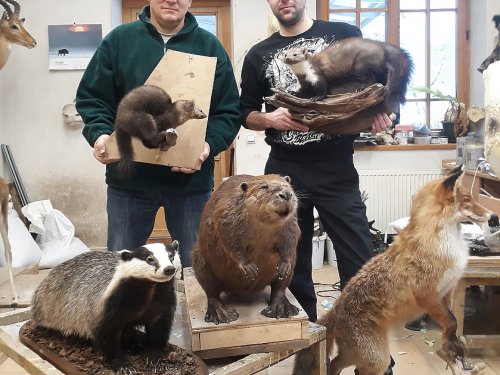 В гостях у Кястуса