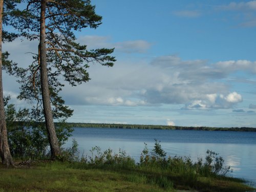 За кордон