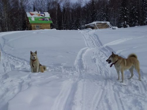 Патын, Хвала, Конгур на избе