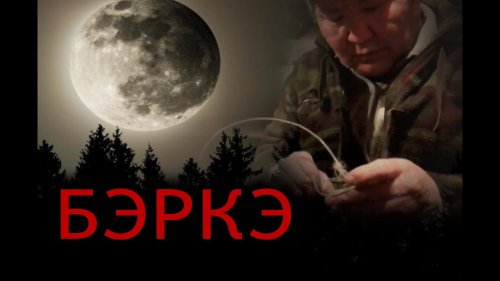 Замеры волков. Вожак на свободе