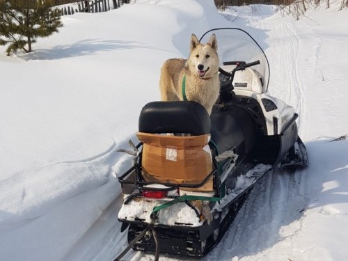 Хвала