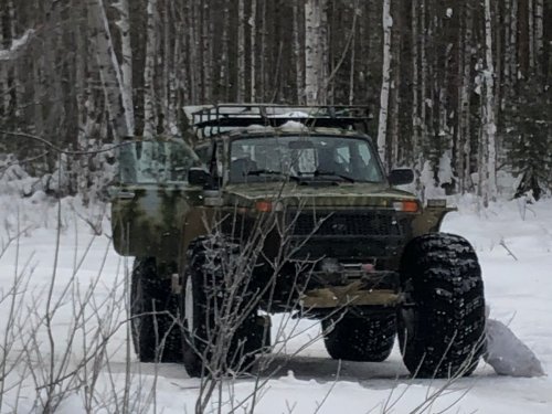 Марш уже без кенгурятника