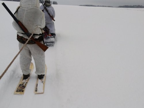 В поисках зайца