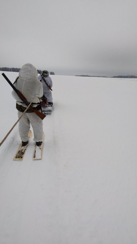 В поисках зайца
