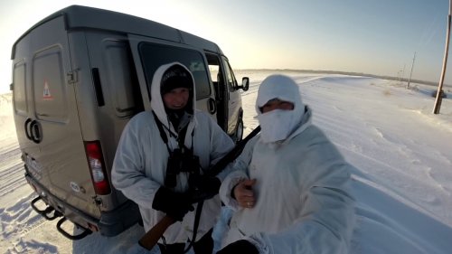 Заячьими тропами 2019