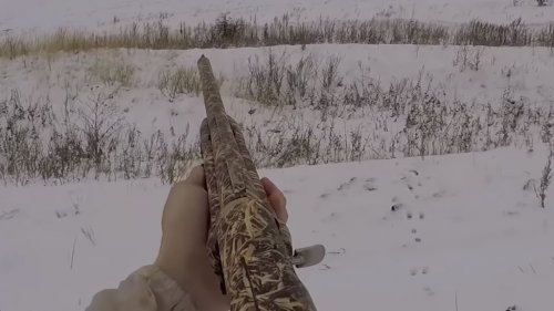 Шикарная охота на зайца 2018-2019