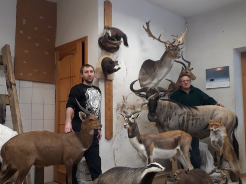В гостях у Кястуса