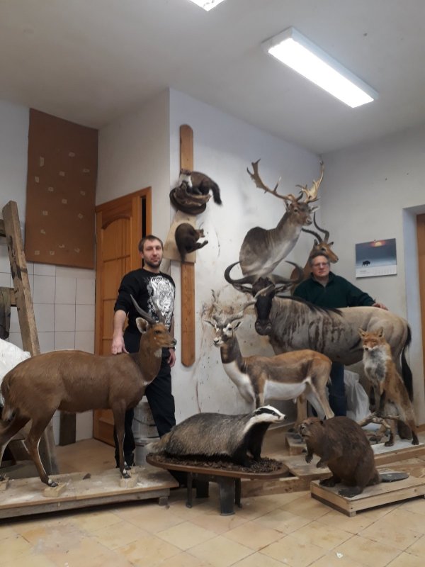 В гостях у Кястуса