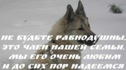 его у нас украли