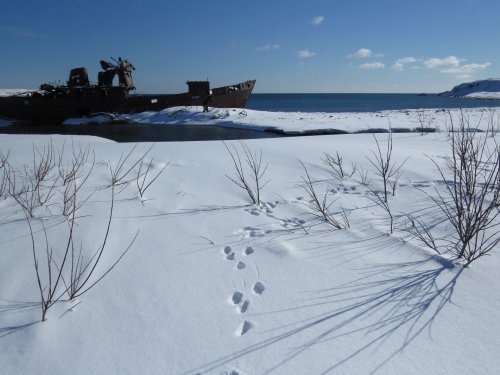 У синего моря)