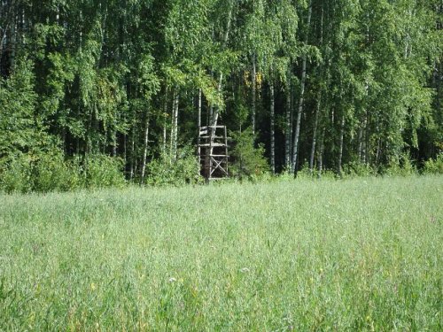 Охотничье поле