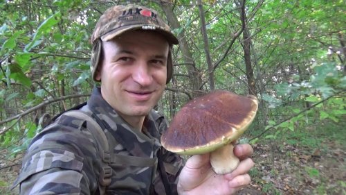 За грибами в сентябре