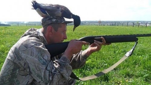 Необычные случаи на охоте и в дикой природе