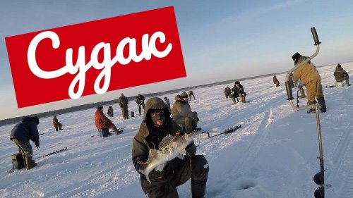 Парень поймал Крупного Судака на Обском море. Рыбалка в районе Спирино