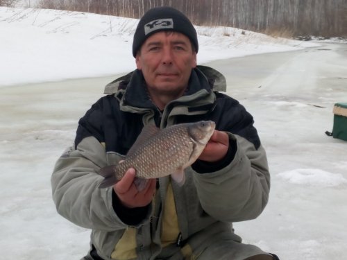 Карасик.