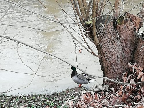 Когда уже тепло? И вода холодная!