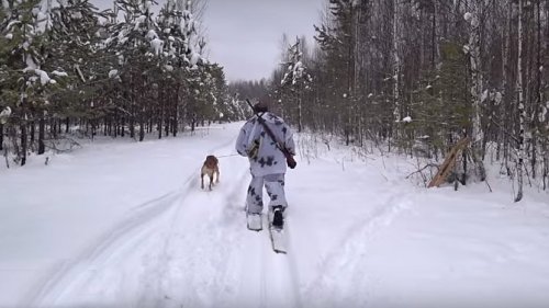Охота на зайца с Русскими гончими. Закрытие сезона 2018-2019