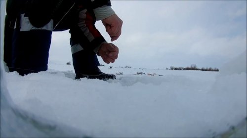 охота и рыбалка