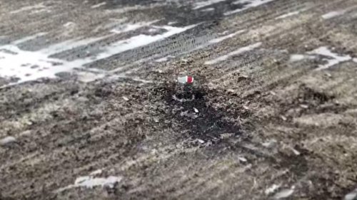 Зеркальный скрадок для охоты на гуся. Вид с высоты птичьего полета